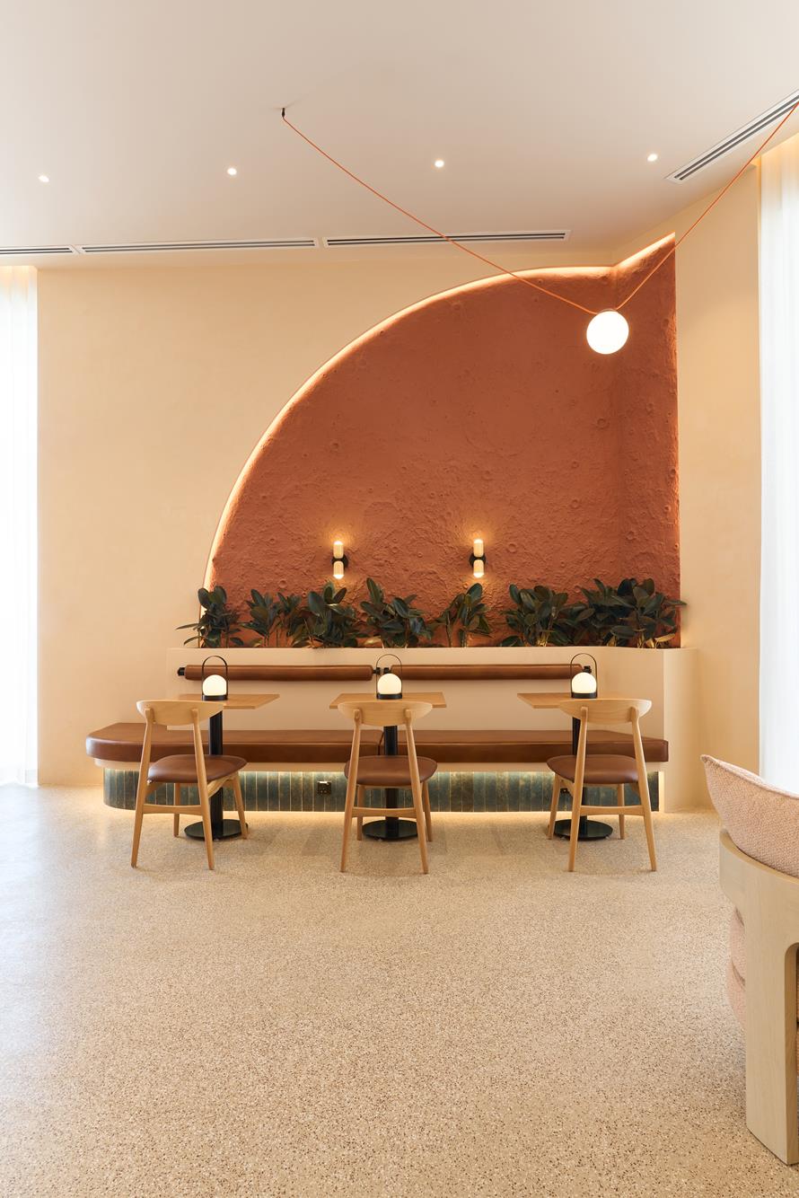 A quarter-round wall of rammed-earth render lit from its edge, planting running along its base